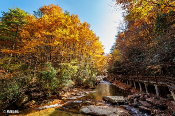 康輝旅游網(wǎng)<特惠> 廣州往返重慶 秋戀光霧山、鄧小平故居、解放碑、李子壩、磁器口雙動(dòng)5天