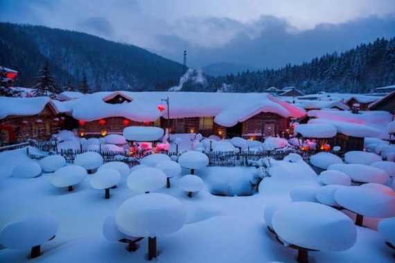 <爆款东北>广州往返“冰城”哈尔滨、激情亚布力、童话雪乡、“欧式庄园”伏尔加6天 康辉旅游网<爆款东北>广州往返“冰城”哈尔滨、激情亚布力、童话雪乡、“欧式庄园”伏尔加6天