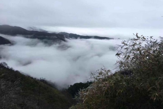 康輝旅游網(wǎng)廣州往返廣西 純美貓兒山 靈湖風(fēng)雨橋+興安水街+崀山+八角寨+堯山動(dòng)車(chē)4天