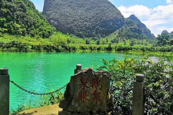 康輝旅游網(wǎng)廣州往返廣西ZM花漫靖西 德天跨國大瀑布+峒那嶼灣+石門森林公園櫻花谷動車3天