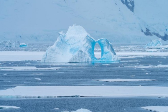 康輝旅游網(wǎng)【龐洛郵輪】南極三島王企鵝群探索巡游18天17晚單船票