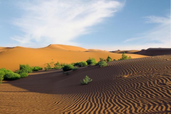 康輝旅游網(wǎng)<寧夏大環(huán)游>廣州起止 沙坡頭 巖畫 西夏陵 通湖草原 沙漠 鎮(zhèn)北堡 雙臥9天