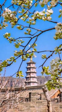 康辉旅游网<经典>广州往返·不带钱包游西北 七彩丹霞.鸣沙山月牙泉.莫高窟 双飞8天