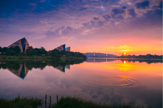 康辉旅游网<特惠游>广州往返-【“购年货”中英街】深圳东莞养生度假2天