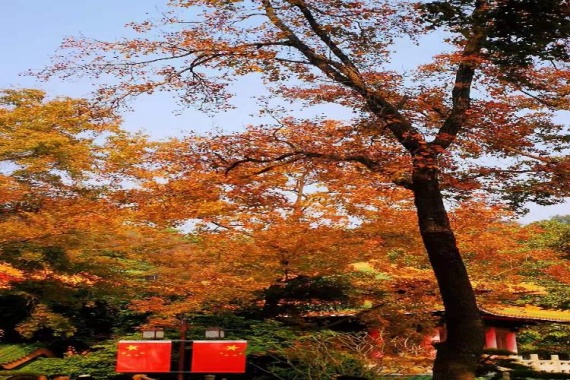 康辉旅游网<潇洒行>圭峰山&西樵山 高明碧桂园度假纯玩2天 食足3餐