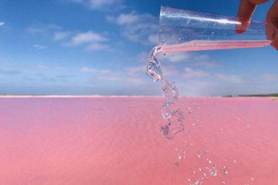 康辉旅游网广州直飞寻味西澳秘境南北纵横·出海捕龙虾·海鲜盛宴9天