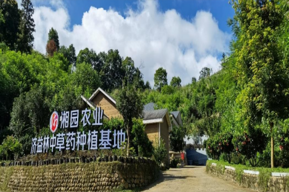 康辉旅游网【潇洒行】<真正康养旅行>广州往返英德慈湖康养度假纯玩2天、全程吃足4餐