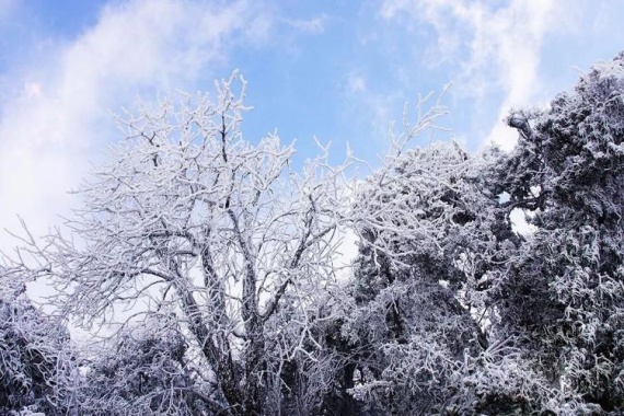 康辉旅游网<经典冬日秘境猫儿山>广西漓江源大峡谷+阳朔蝴蝶泉+荔江湾+侗王夜宴动车3天