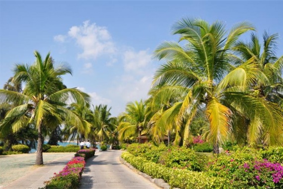 康辉旅游网<经典星河西沙YGL>广州往返三亚 南海之梦邮轮+赵述岛 双飞4天自由行