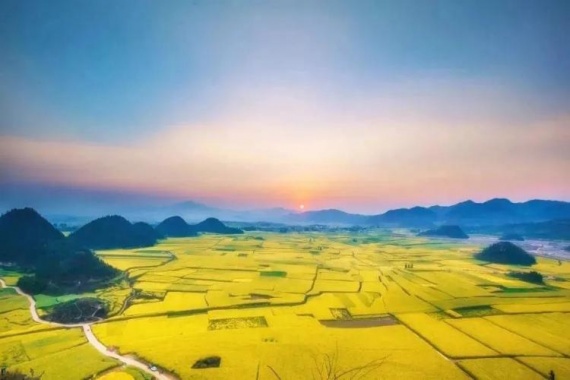 康辉旅游网ZM3-4月春摄罗平，双动5天，樱花谷+万峰林+罗平油菜花+马岭河+花江峡谷大桥