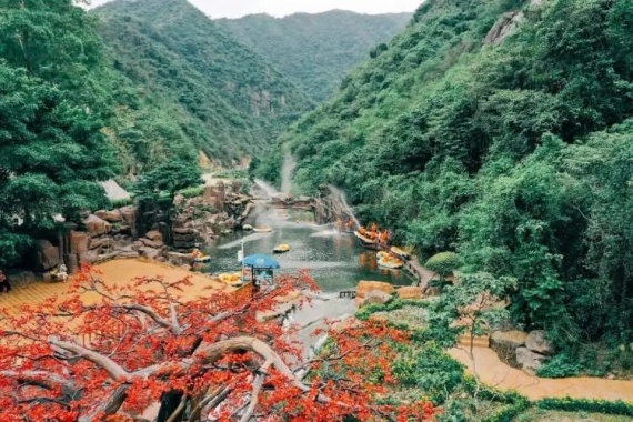 康辉旅游网【花开富贵】广州往返清远+英西3天、玄真大峡谷+峰林晓镇+北江游船、吃5餐+摘果