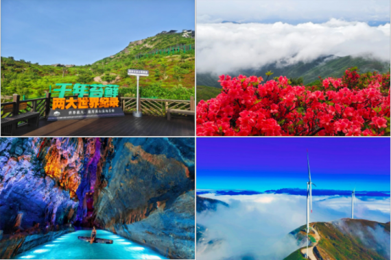 康辉旅游网【云端杜鹃花节】广州往返湖南永州云冰山+连州地下河纯玩2天游