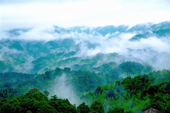康辉旅游网【龙门.直通车】广州往返惠州龙门南昆山竹溪山境温泉公寓纯玩4天3晚半自助游